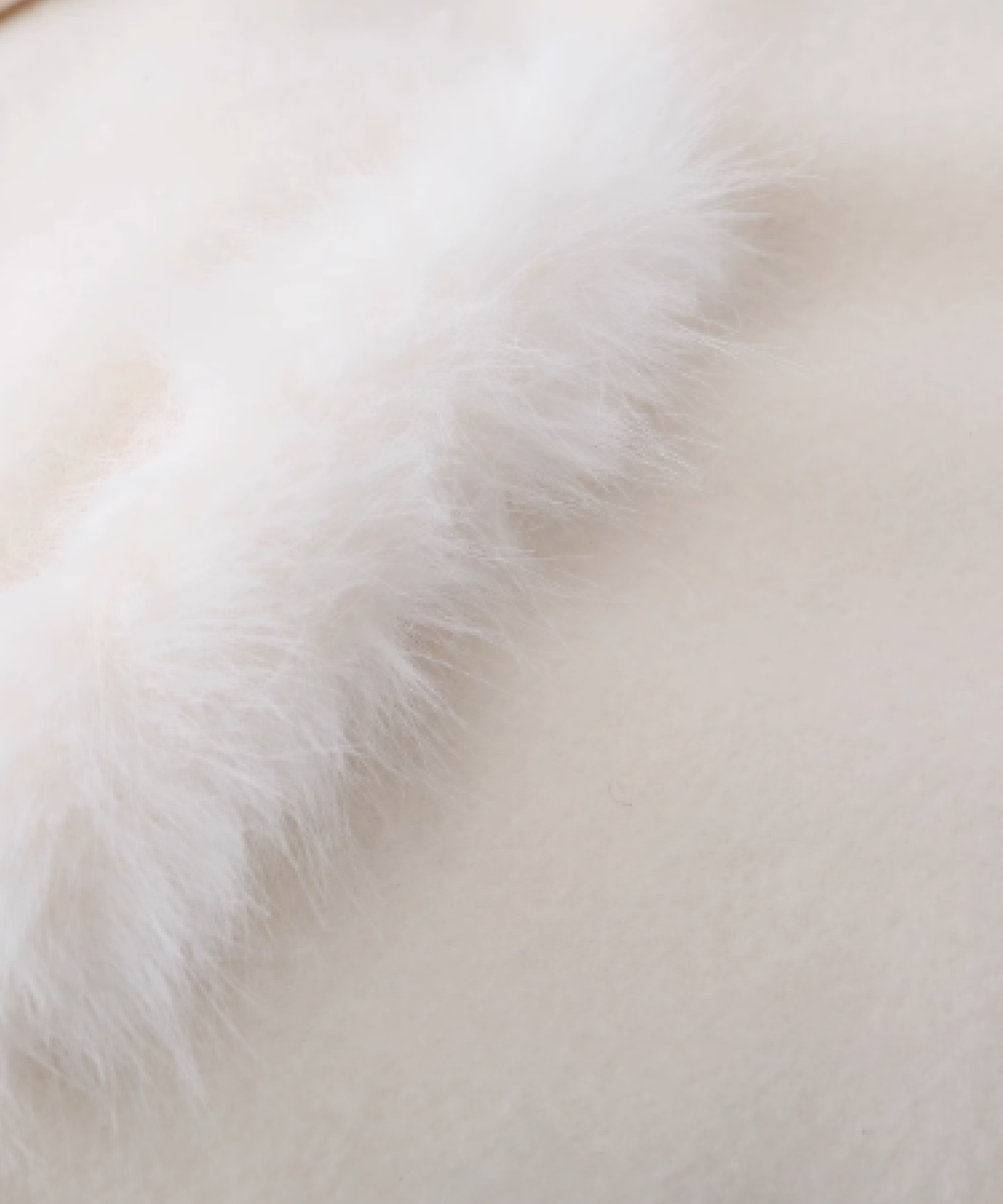 Princess Fur Collar Cape Coat